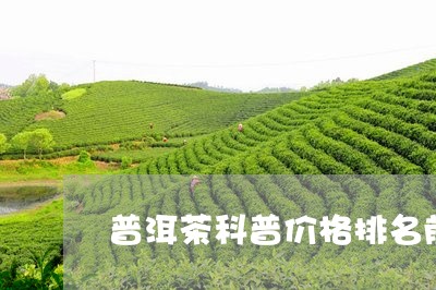 普洱茶科普价格排名前十/2023112881896