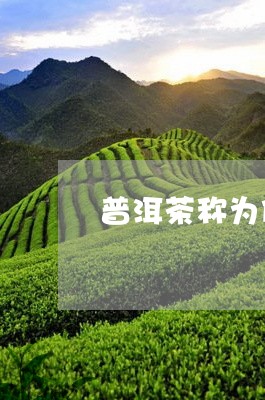 普洱茶称为什么茶种类呢/2023120760515