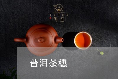 普洱茶穗/2023110861692