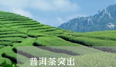 普洱茶突出/2023090526272