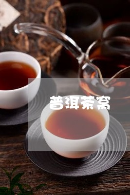 普洱茶窝/2023110826826