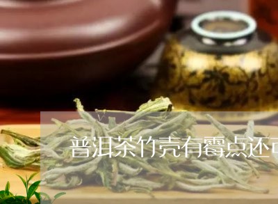 普洱茶竹壳有霉点还可以泡茶吗/2023082687269