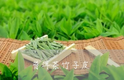 普洱茶竹子皮/2023042748685