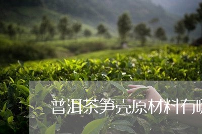 普洱茶笋壳原材料有哪些/2023102418280