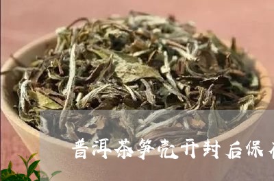 普洱茶笋壳开封后保存/2023100659513