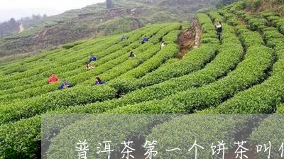 普洱茶第一个饼茶叫什么/2023110134068