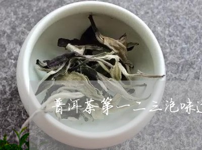 普洱茶第一二三泡味道/2023092966361