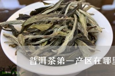 普洱茶第一产区在哪里啊/2023112772794