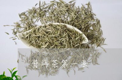 普洱茶第一县/2023042982310