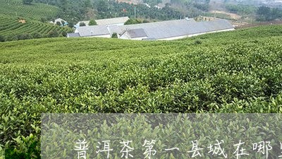 普洱茶第一县城在哪里/2023092868203