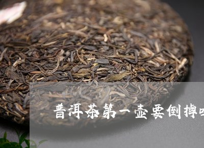 普洱茶第一壶要倒掉吗/2023092636047