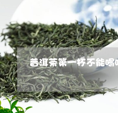 普洱茶第一杯不能喝吗/2023092600681