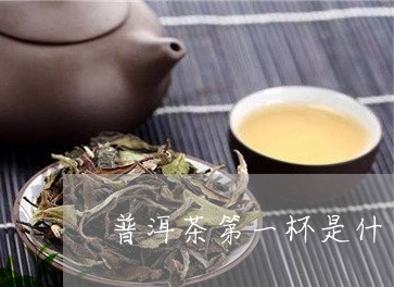 普洱茶第一杯是什么茶/2023062160592