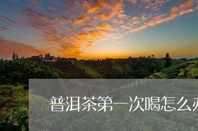 普洱茶第一次喝怎么办/2023061473038