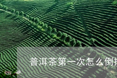 普洱茶第一次怎么倒掉/2023061443047