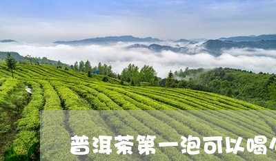 普洱茶第一泡可以喝么/2023061524749