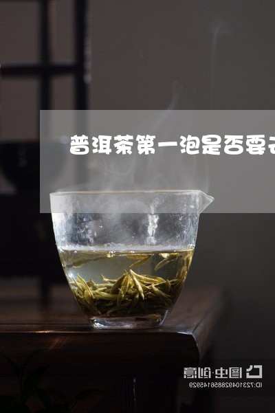 普洱茶第一泡是否要去掉/2023082796059