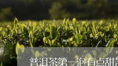 普洱茶第一泡有点甜苦味正常吗/2023110420946