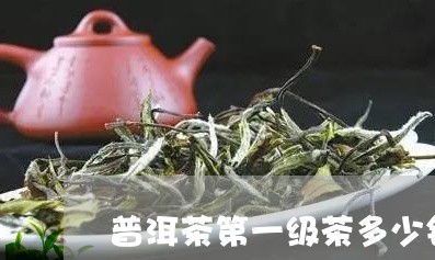 普洱茶第一级茶多少钱/2023061933737