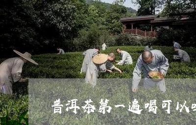 普洱茶第一遍喝可以吗/2023092591683