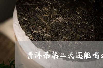 普洱茶第二天还能喝么/2023092557362