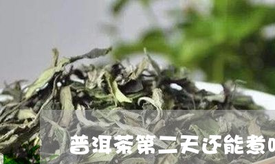 普洱茶第二天还能煮吗/2023092625371