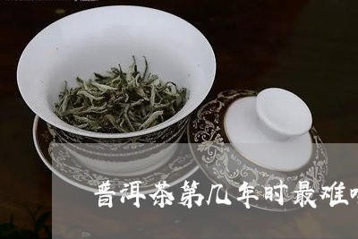 普洱茶第几年时最难喝/2023062280927