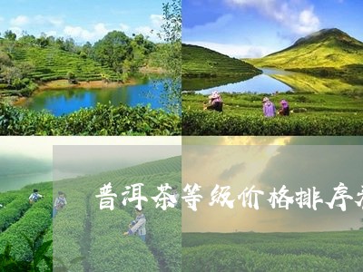 普洱茶等级价格排序表图片/2023112534704