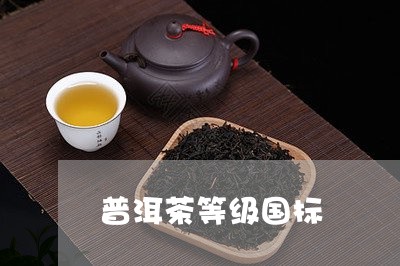 普洱茶等级国标/2023070982704