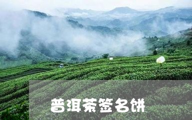 普洱茶签名饼/2023042759187