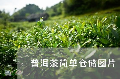 普洱茶简单仓储图片/2023083050715