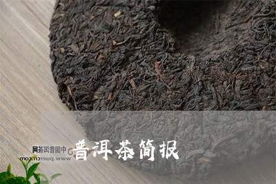 普洱茶简报/2023090572047