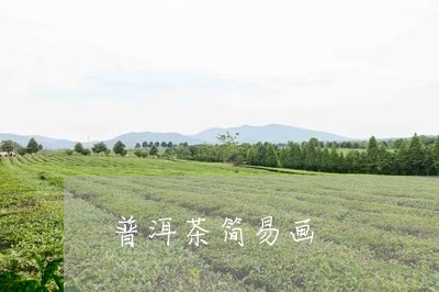 普洱茶简易画/2023042686599