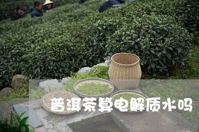 普洱茶算电解质水吗/2023120501717