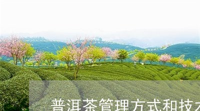 普洱茶管理方式和技术/2023062126070