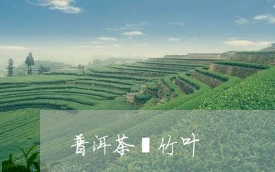 普洱茶箬竹叶/2023042716616