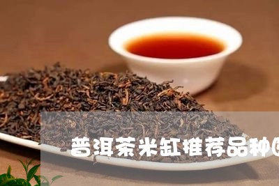 普洱茶米缸推荐品种图片/2023081637058