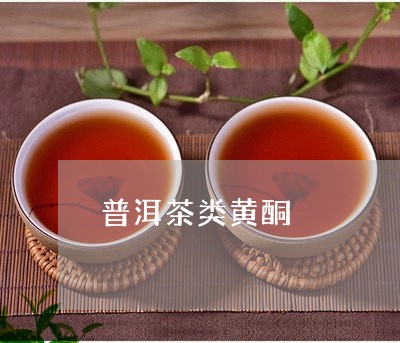 普洱茶类黄酮/2023091312836