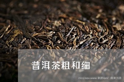 普洱茶粗和细/2023042550761