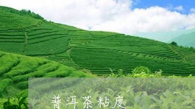 普洱茶粘度/2023090521583