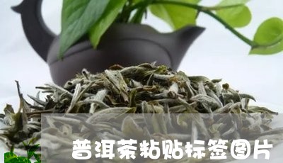 普洱茶粘贴标签图片/2023120593815