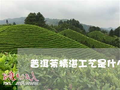 普洱茶精湛工艺是什么茶/2023121758693