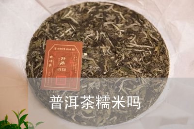 普洱茶糯米吗/2023042861991