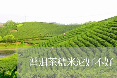 普洱茶糯米沱好不好/2023120509472