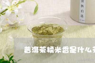 普洱茶糯米香是什么茶/2023080332614