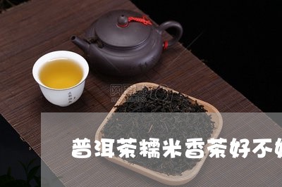 普洱茶糯米香茶好不好普洱的冲泡/2023060367381