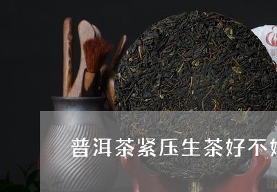 普洱茶紧压生茶好不好/2023062361814