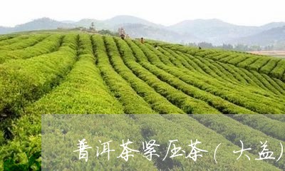 普洱茶紧压茶(大益)/2023100721592