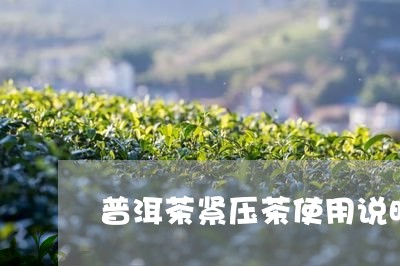 普洱茶紧压茶使用说明/2023062229383