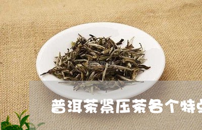 普洱茶紧压茶各个特点介绍/2023082732705